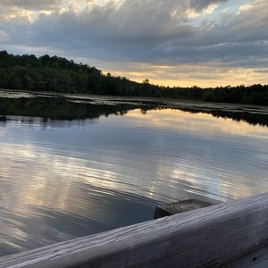 Meet your Posher, Elise